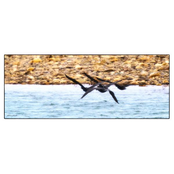 PHOTO84, CLUB, 84 , LUBERON